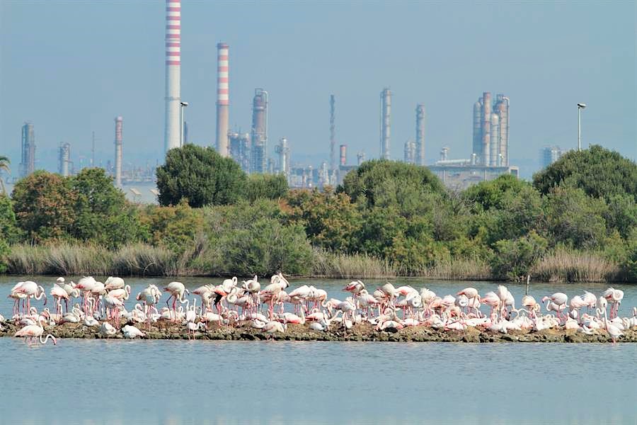 Non solo industrie a Priolo ma turismo innovativo -GUARDA IL VIDEO-