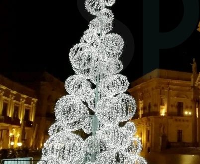 Il M5S: “L’albero dello spreco”, l’assessore Italia: “Nient’affatto”