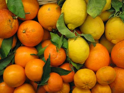 Lentini, braccianti agrumicoli sul piede di guerra