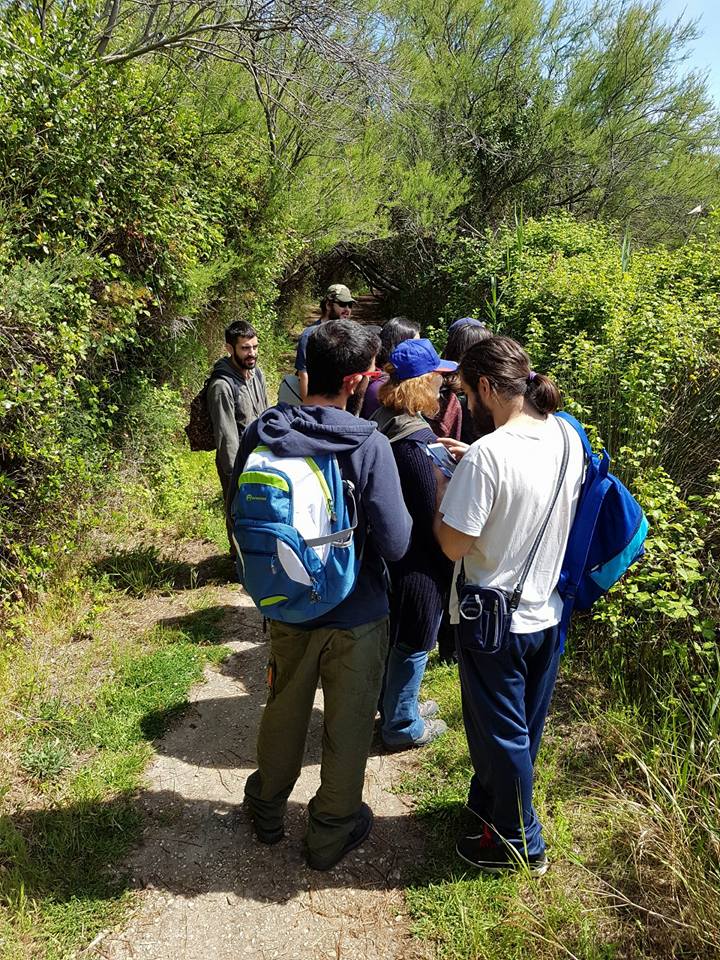 Costante crescita nei visitatori della RNO Saline di Priolo
