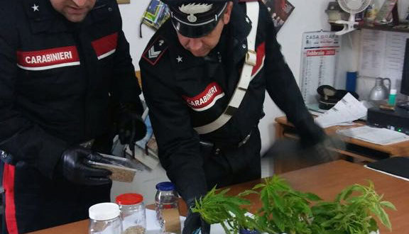 Noto, deteneva piantine di marijuana: arrestato
