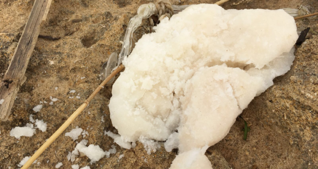 Siracusa, schiuma biancastra maleodorante nella scogliera della “Pillirina”