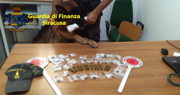 Getta la droga dalla finestra ma non sfugge al fiuto del cane