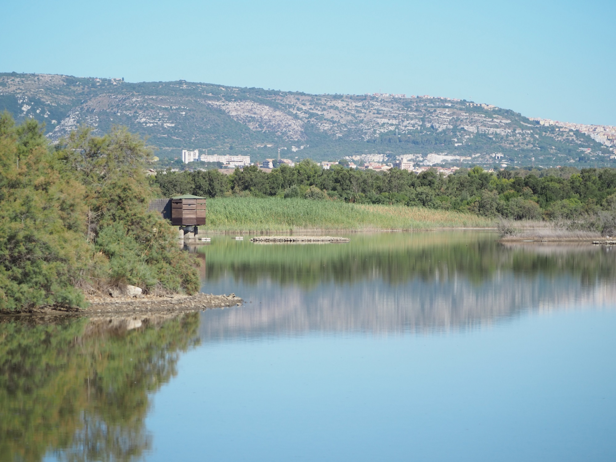 Lipu: Le Giornate Europee del Birdwatching