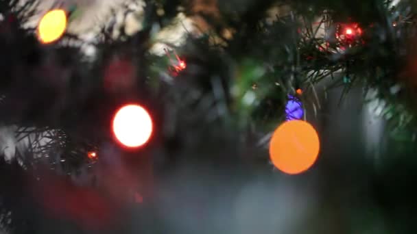 L’albero di Natale: Il corto di WLTV