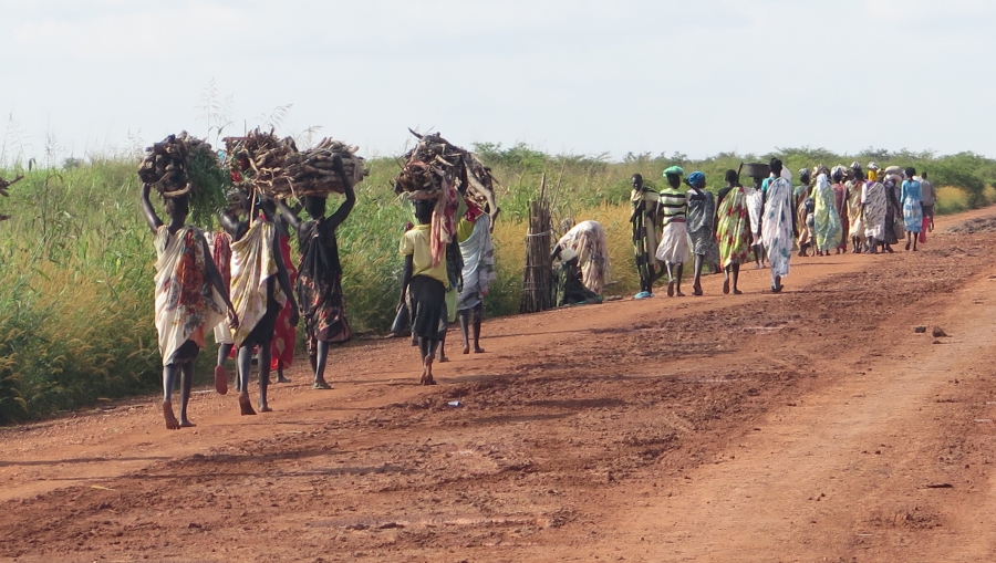 La violenza ha costretto alla fuga oltre 50.000 persone nel Niger occidentale nel corso di quest’anno