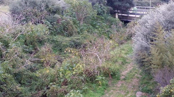 Priolo, Biamonte: “Pulizia Valloni”