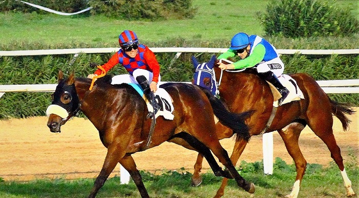 Ippodromo Mediterraneo, ritorna il galoppo