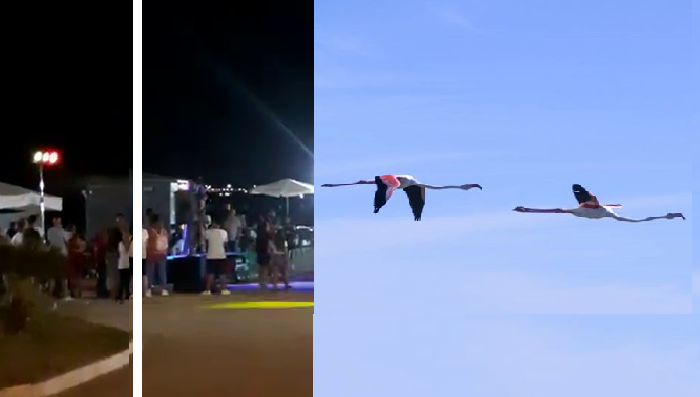 Marina di Priolo. Assembramenti, caos e musica a tutto volume e i fenicotteri scappano (Video)