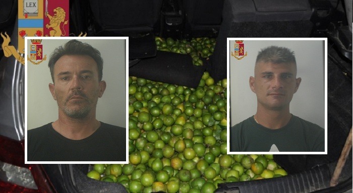 Lentini, arrestati 2 ladri di agrumi