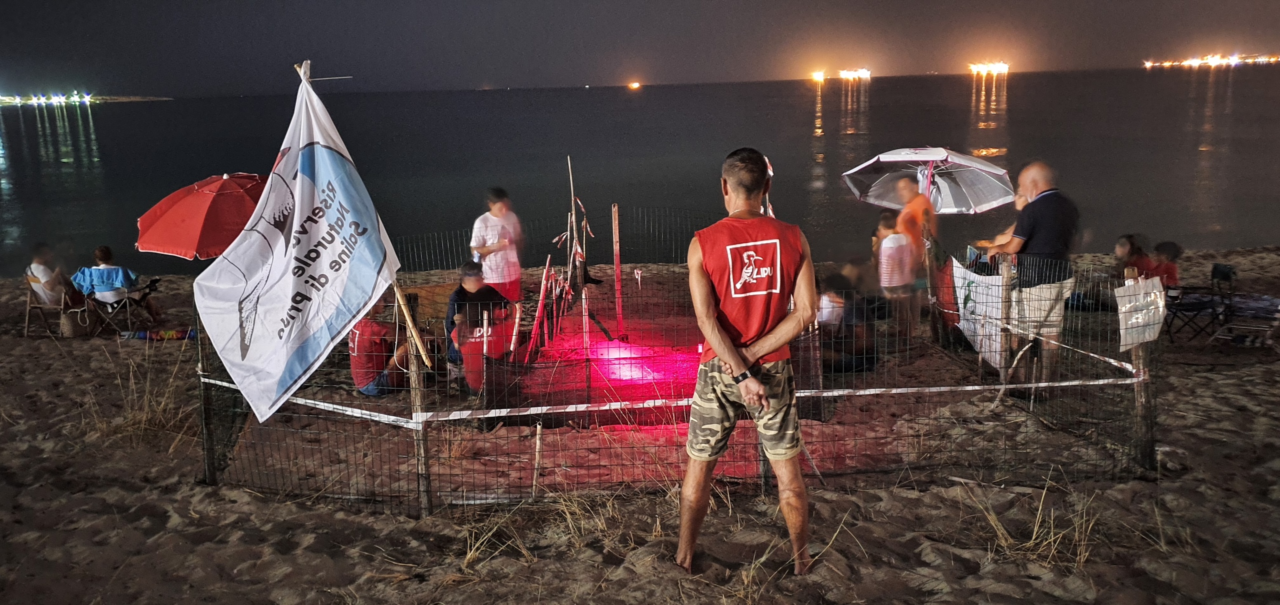 Schiusa record di uova di Caretta caretta: conclusa l’operazione TartaPriolo della Lipu