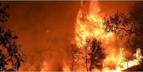 Incendia sterpaglie, muore avvolto dalle fiamme – Corpo non ancora recuperato