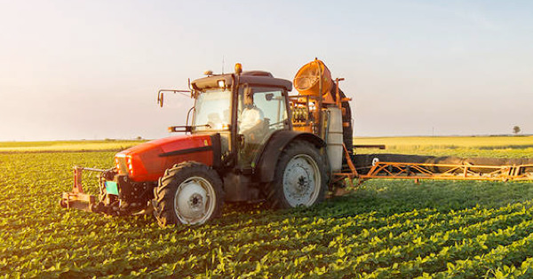 Agricoltura, 30 milioni per le aree interne e le zone montane