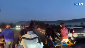 Corsa di cavalli clandestina tra i comuni di Noto e Palazzolo Acreide: scattano le denunce - Video
