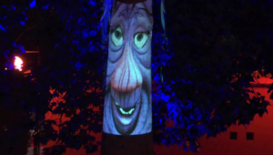 Fiaba a Tempi di Covid - L' albero Goofy - Il ghiro e la cicala