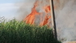 Bruciano riserve e campagne nel siracusano