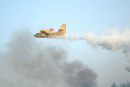 Incendi Sicilia: Musumeci chiede riunione Unità di crisi nazionale