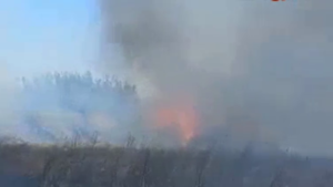 Noto, incendio al Tellaro