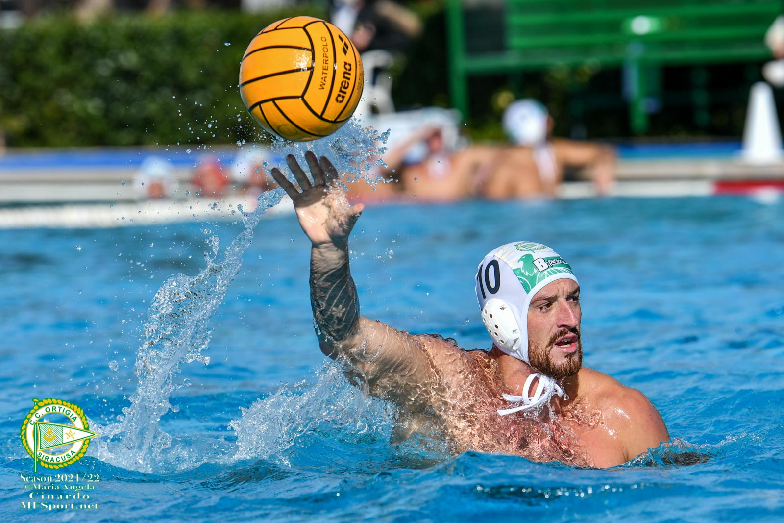 Pallanuoto : C.C. Ortigia-Telimar le dichiarazioni alla vigilia della semifinale di euro cup