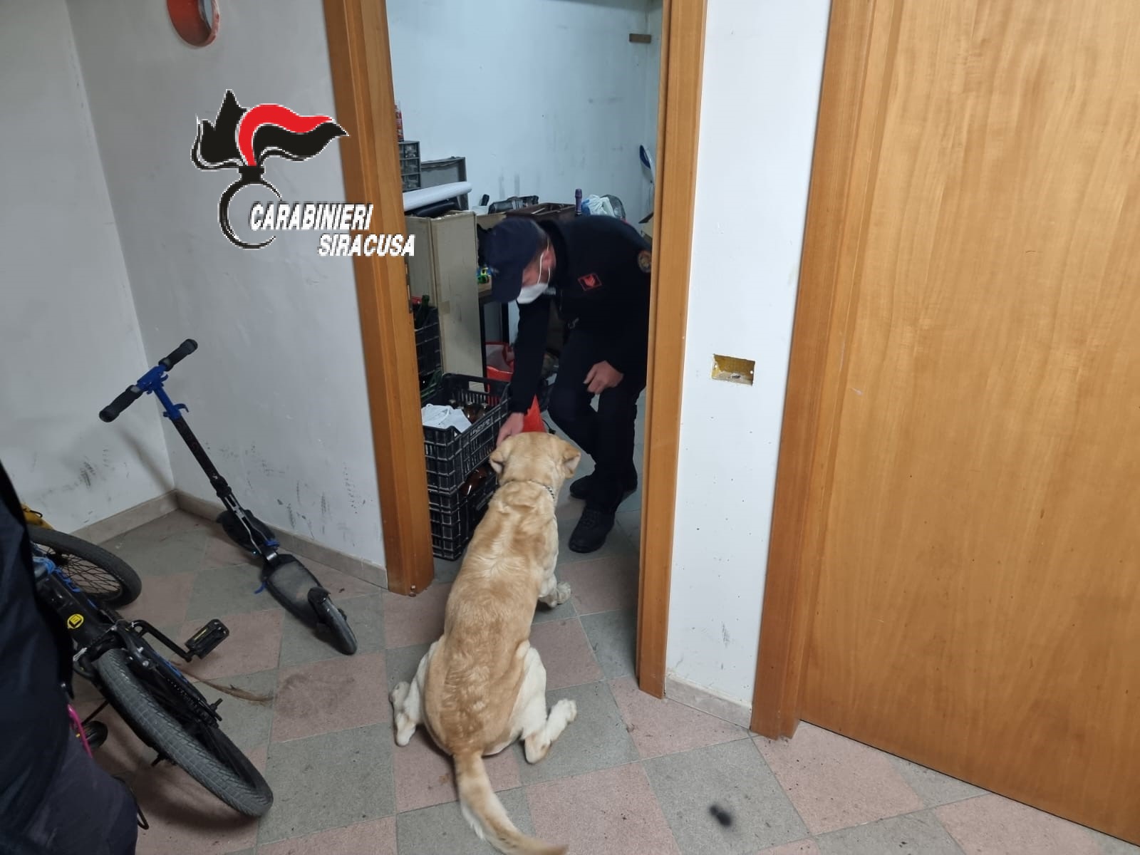 Pachino: due soggetti denunciati per armi e stupefacenti