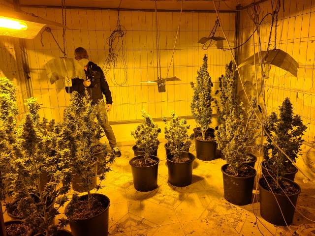 Siracusa: controlli antidroga – arrestato coltivatore e varie denunce
