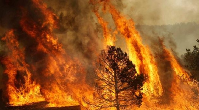 Buccheri, condannati i due imprenditori agricoli responsabili di due incendi boschivi