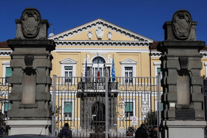 Altri due casi Vaiolo delle scimmie, confermati in Italia