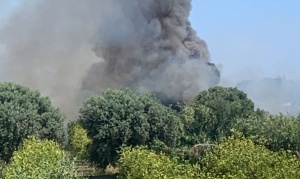 Arenella, fiamme vicino alle villette