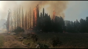 Siracusa e Solarino, in fiamme decine di ettari di zona boschiva