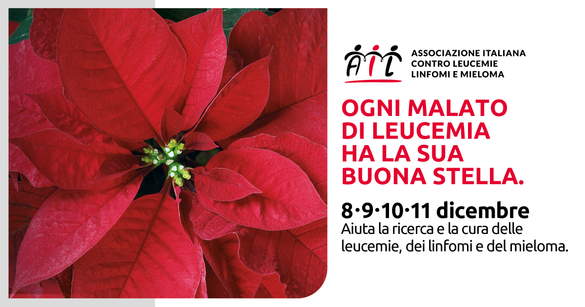 L’AIL torna in piazza con le Stelle di Natale 2022 dall’8 all’11 dicembre