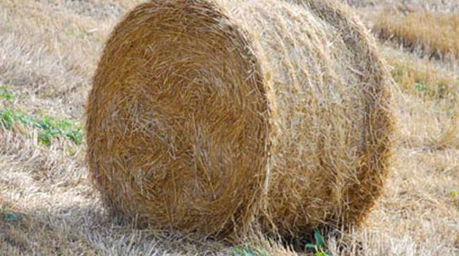 Incidente in azienda agricola – Tragico Natale a Licata, muore schiacciato da balla fieno