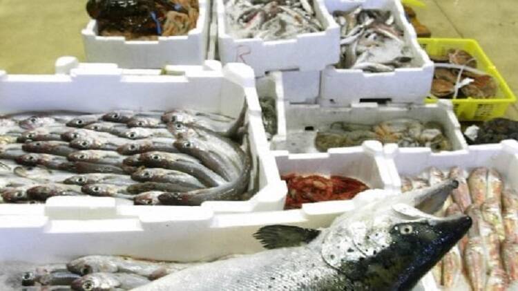 Ritiri e sequestri prima di Natale, la sicurezza alimentare non va in vacanza