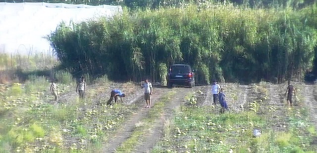 Pachino: lotta al caporalato -misure cautelari per tre soggetti