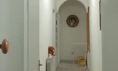 Mafia –  Il covo del boss Messina Denaro come la casa di un uomo qualunque