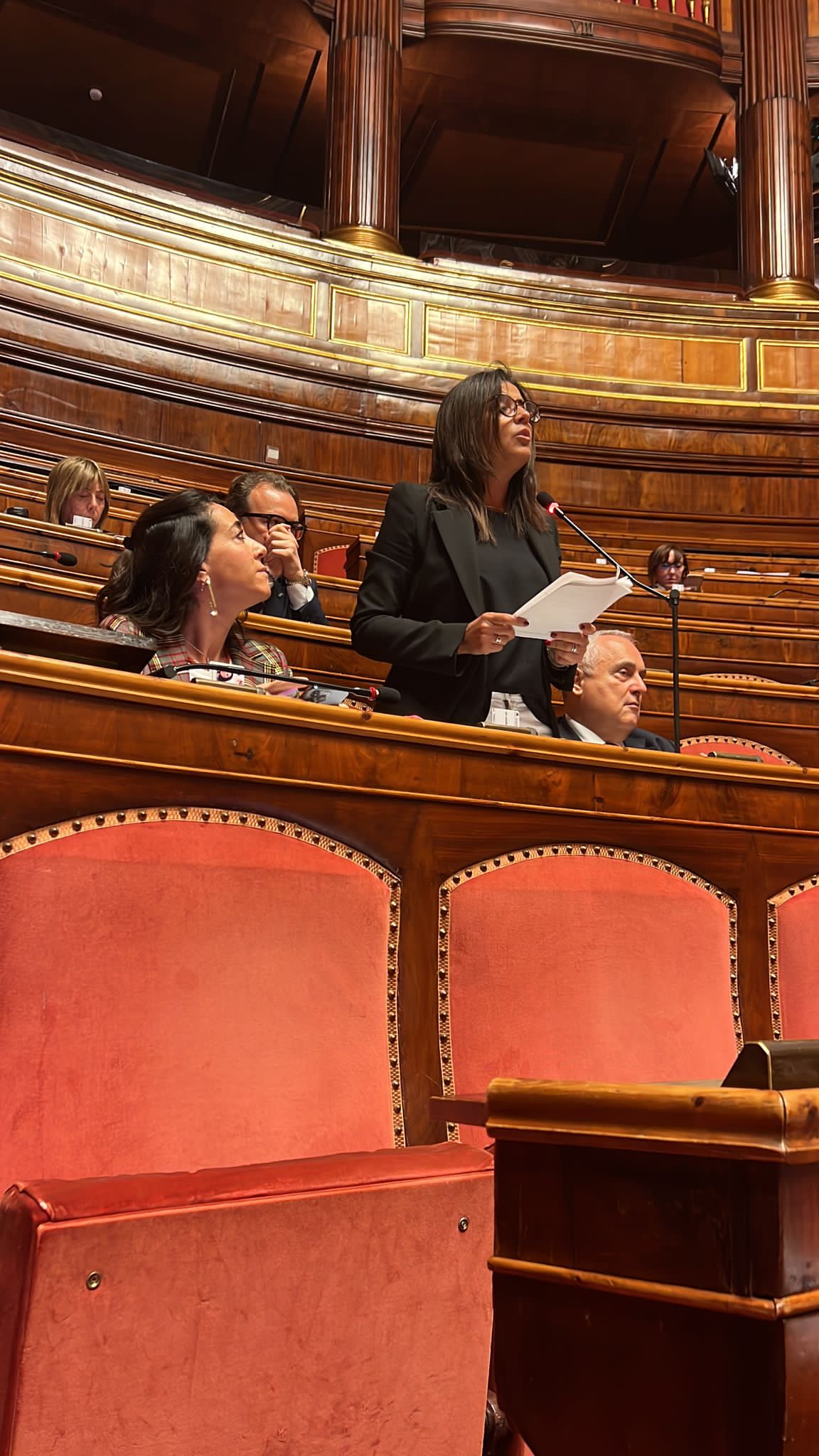 Ponte sullo stretto – On. Daniela Ternullo: “occasione storica”