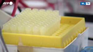 Sperimentazione di successo in Gb - Un test del sangue per diagnosticare 50 tipi di cancro - Video
