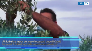 Al Sud oltre meta' dei nuovi occupati dopo il Covid