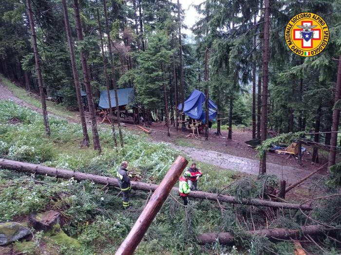 Cronaca – Tragedia al campo scout, 16enne muore travolta da un albero