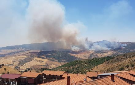 In fumo 2mila ettari di boschi in Sicilia