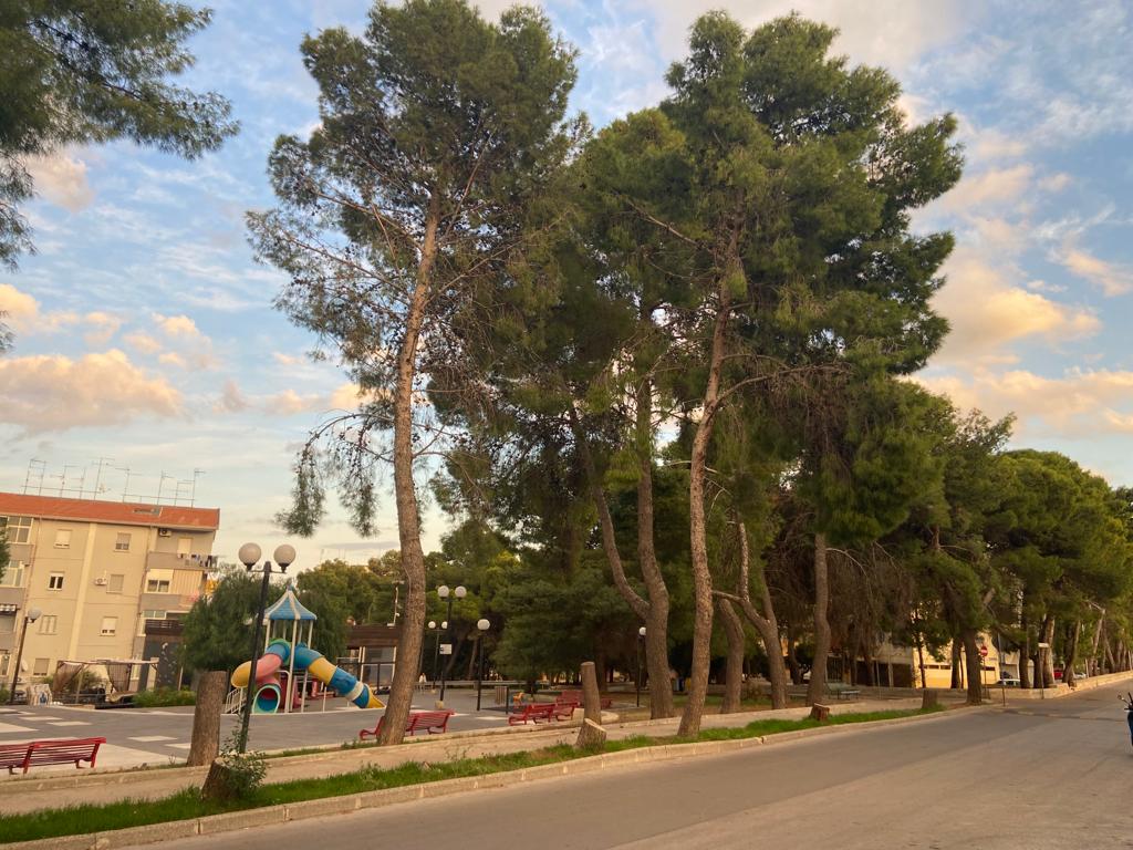 Priolo, affidati lavori di potatura per la messa in sicurezza dagli alberi di via Pirandello e via Prati.