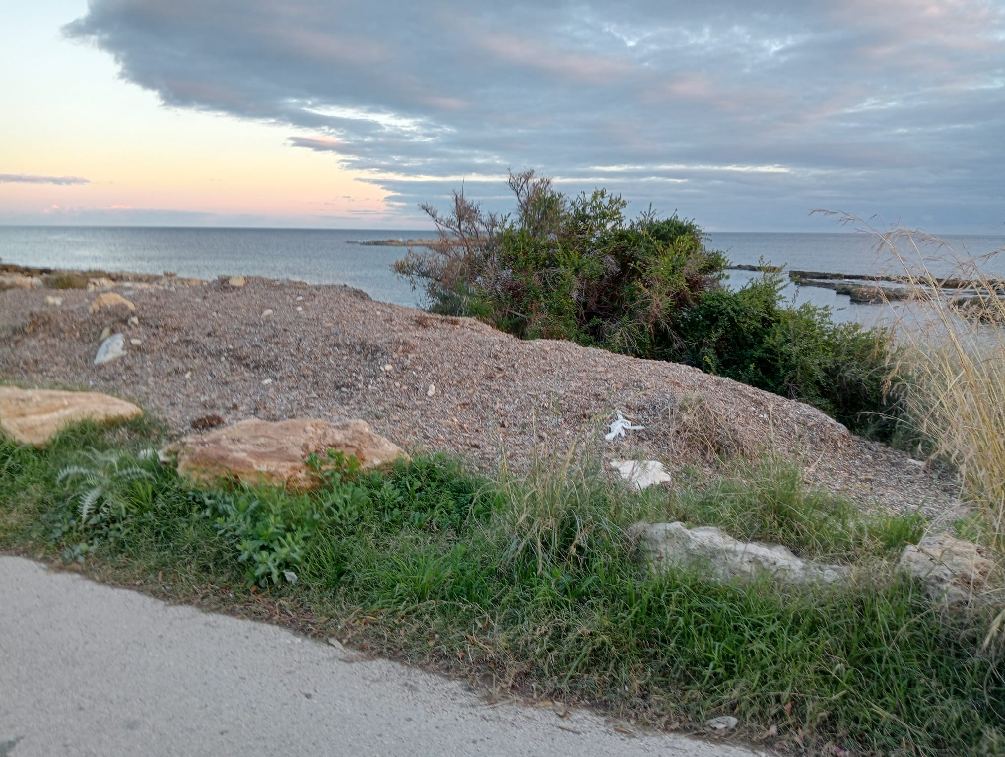Spiagge a Siracusa, Mangiafico (Civico 4) denuncia le irregolarità nella gestione della posidonia e chiede interventi urgenti