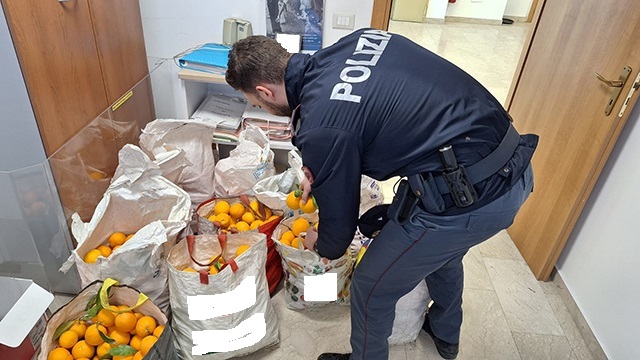 Lentini, denunciato un uomo per ricettazione. Sequestrate 250 kg di arance che saranno devolute in beneficenza