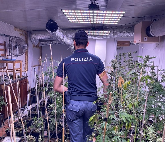 Sequestrata piantagione marijuana a Augusta, arrestato 38enne
