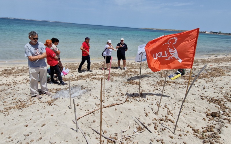 Secondo nido di Caretta caretta rinvenuto nel sito Natura 2000 Saline di Priolo