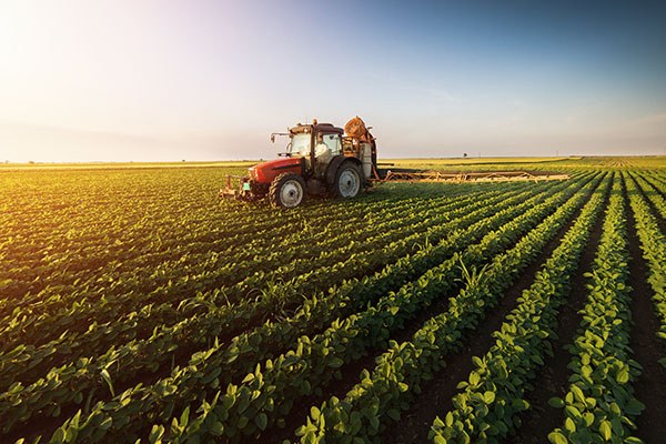 Agricoltura, approvata graduatoria provvisoria bando Pnrr per modernizzare i macchinari