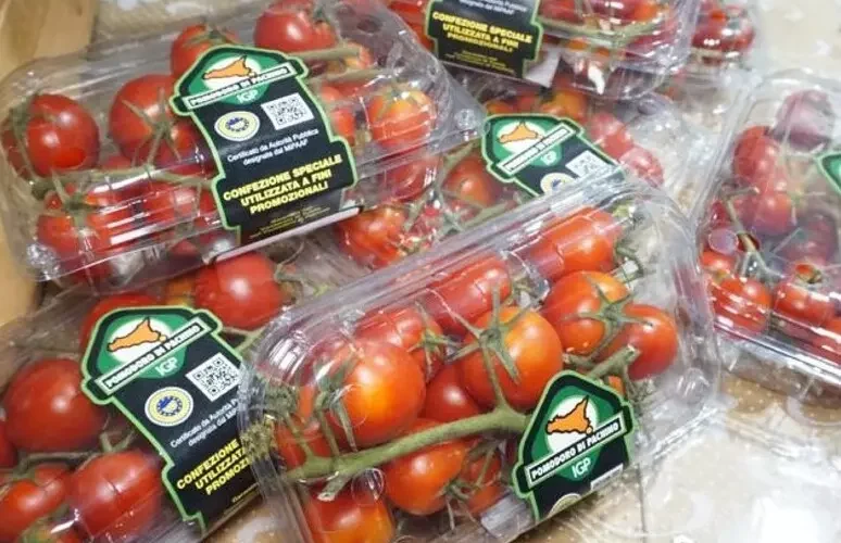 Pomodoro Pachino, primo consorzio Igp certificato ‘Goccia Verde’