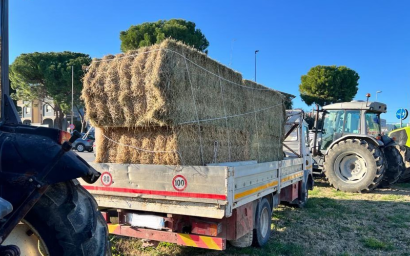 Gli agricoltori in ginocchio, pronta la protesta al G7