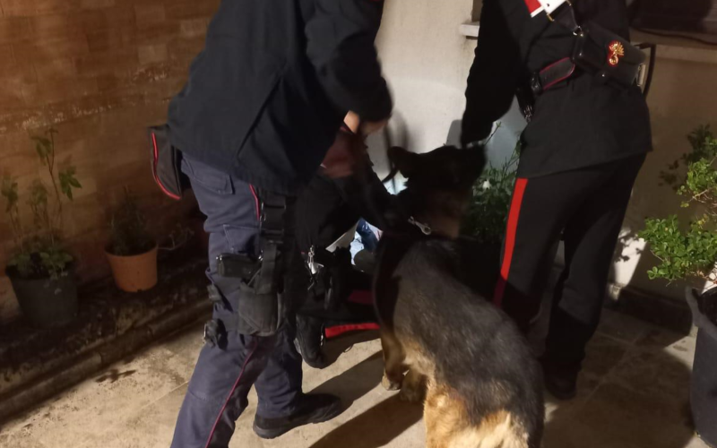 I carabinieri scovano droga in un vicolo di Ortigia
