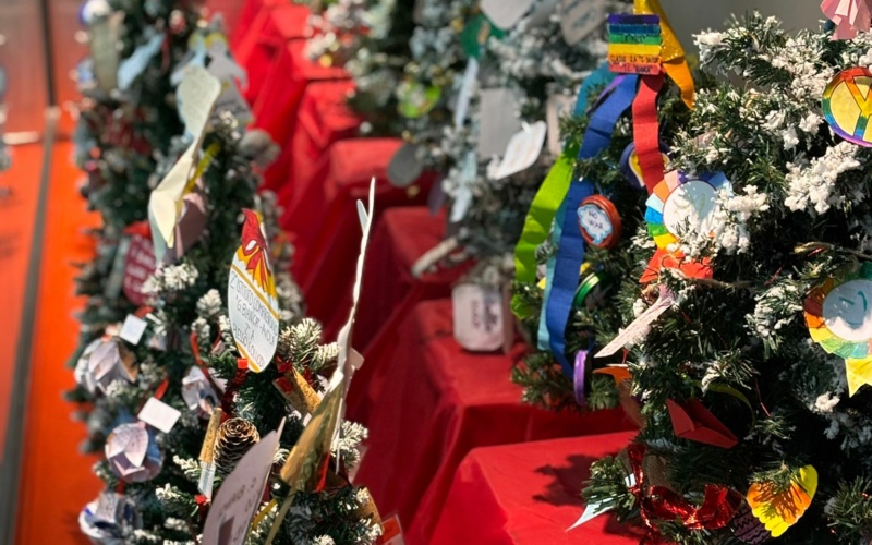 “Un Albero per la Pace”, il messaggio universale delle scuole di Avola