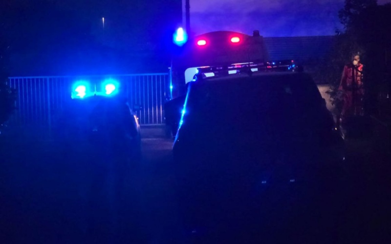 Gaggiano, recuperato un lupo bloccato nel Naviglio Grande